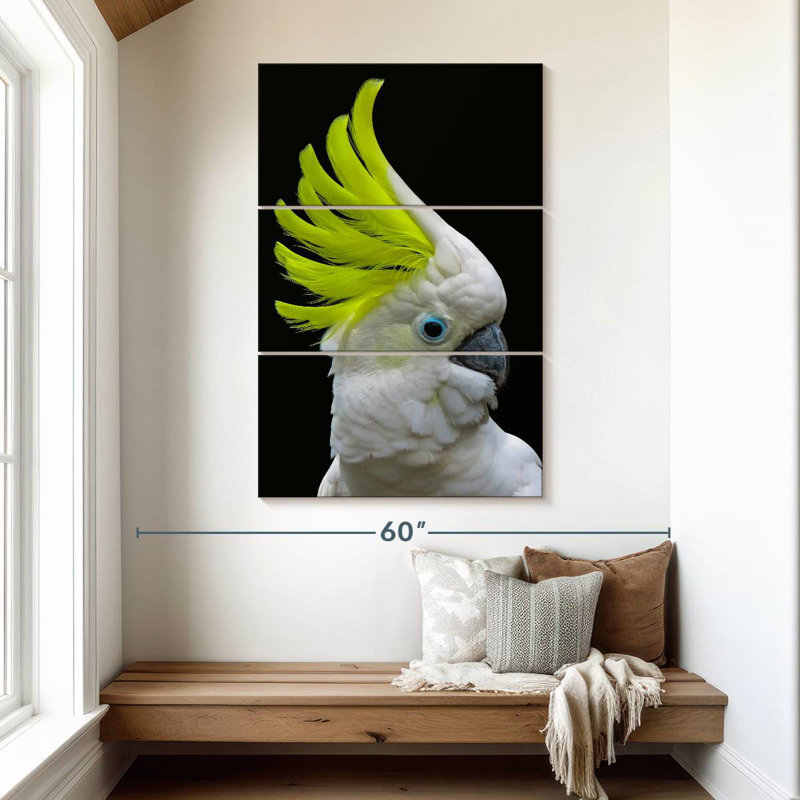Brampt Yellow Crested Cockatoo, 50" H x 32" W