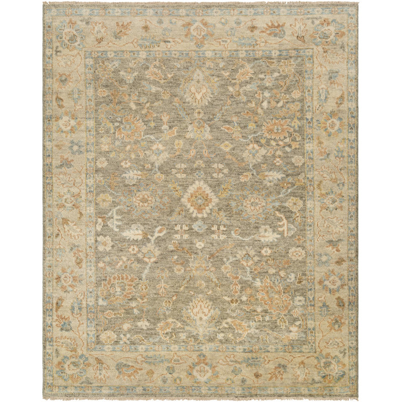 Biscayne Wool Oriental Area Rug, Rectangle 9' x 12'