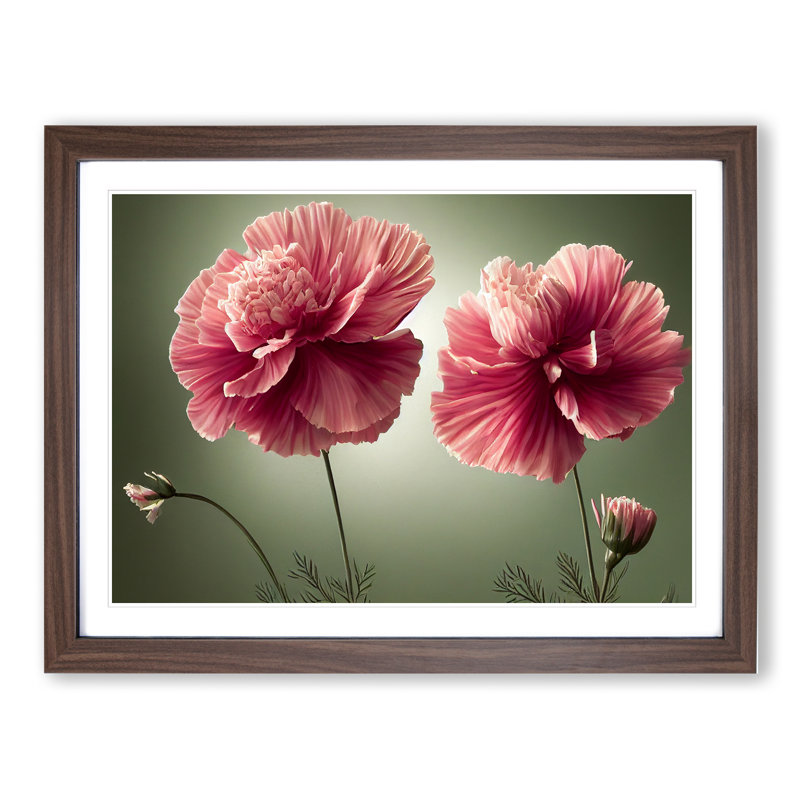Exceptional Carnation Flowers - Single Picture Frame Print, 25cm H x 34cm W x 2cm D, Walnut