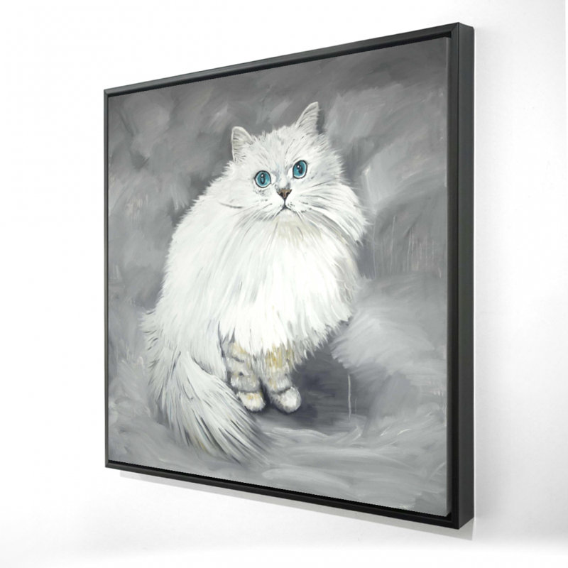 «Chinchilla Persian Cat»