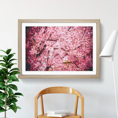 Pink Cherry Blossom Flowers Vol.3 - Framed Print