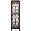 Tamsin Solid Wood Lighted Curio Cabinet-73916054