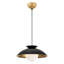 Briceson 1-Light Dimmable Dome Pendant with Frosted Glass Shade-777516913