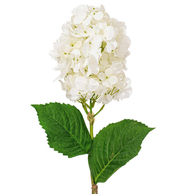 Lavender Stem, White