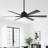 Cathreen 65'' Ceiling Fan with LED Lights
