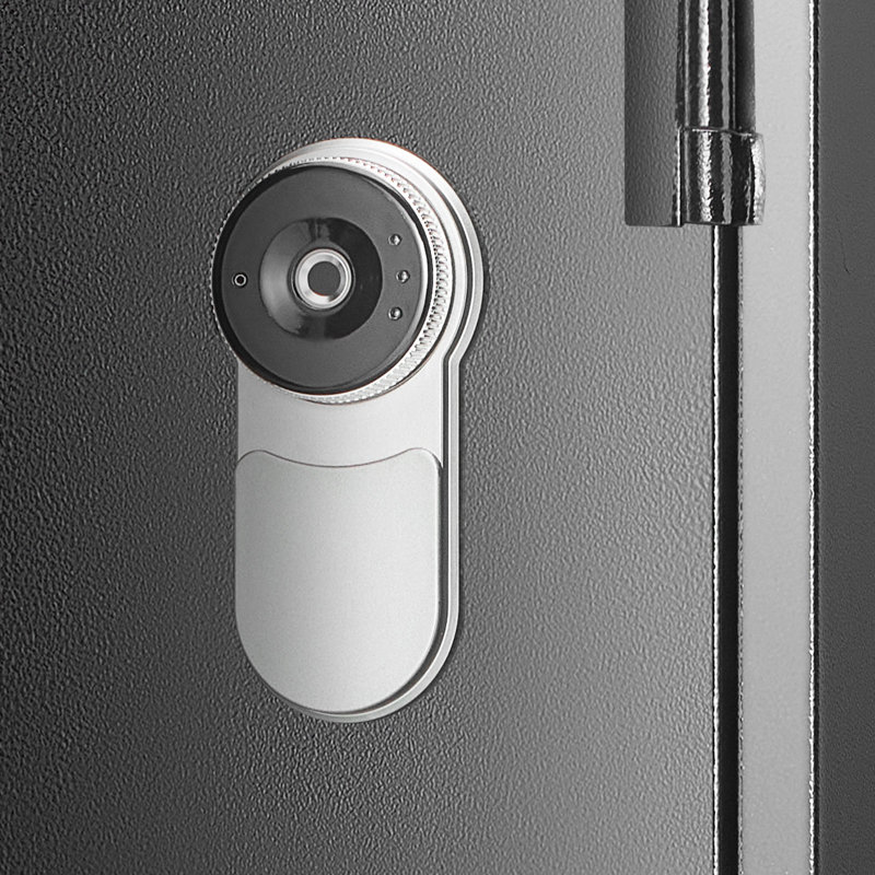 Black Steel Biometric Gun Safe with Fingerprint Lock and LED Light