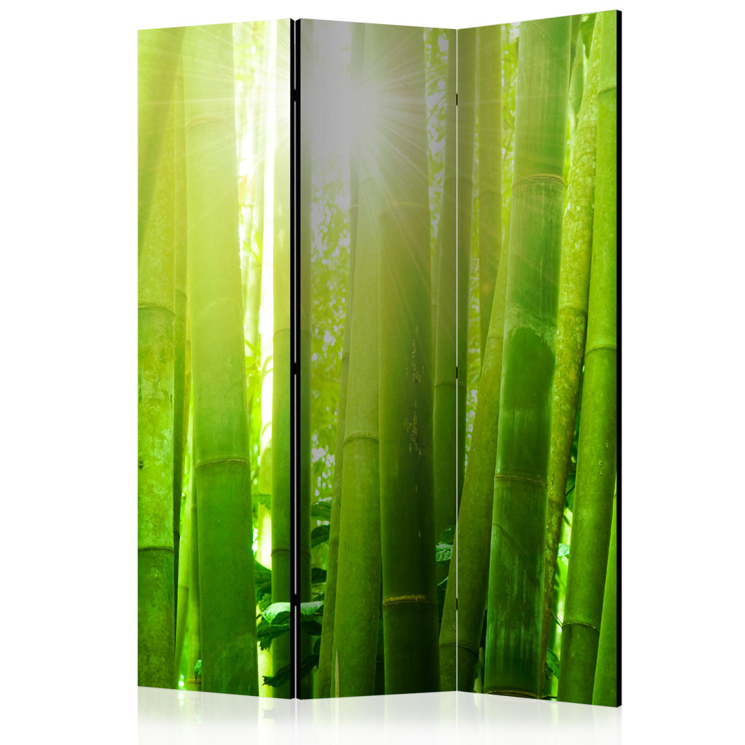 Paravent Sun And Bamboo mit 3 Paneelen