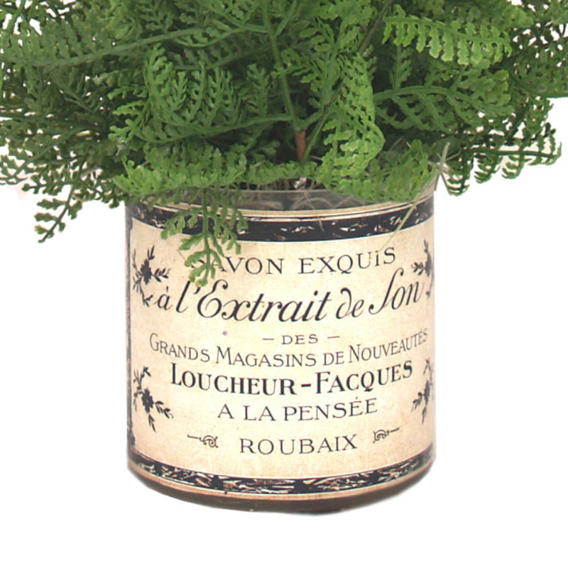 Fausse fougère dans un vase en verre