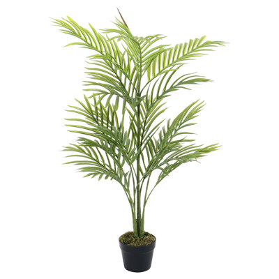 110cm Plant