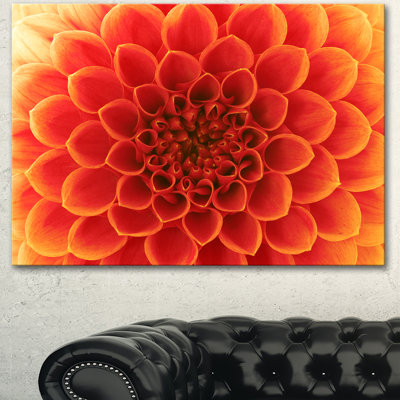 " Orange Abstract Flower Petals "