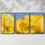 Jaune soleil I 3 pièces-526785691-526785694