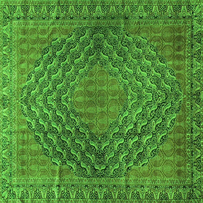 Washable Paisley Indoor Rug, Square 6'