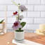 Navarius Table Vase