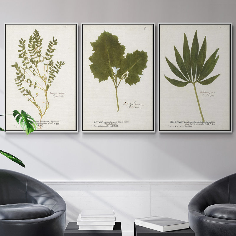 Ensemble de 3 pièces botaniques encadrées sur toile Nature, Blanc, H 36 po x l 72 po