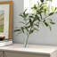 Nashira 5'' Glass Table Vase