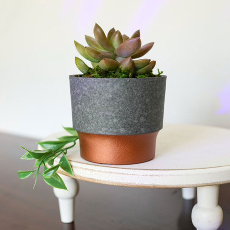 Javette Pot Planter