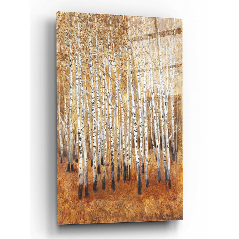 «Sienna Birches II» par Tim O'Toole, art mural en verre acrylique, H 16 po x l 12 po