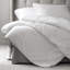 Orbis Down Alternative Comforter-57290075