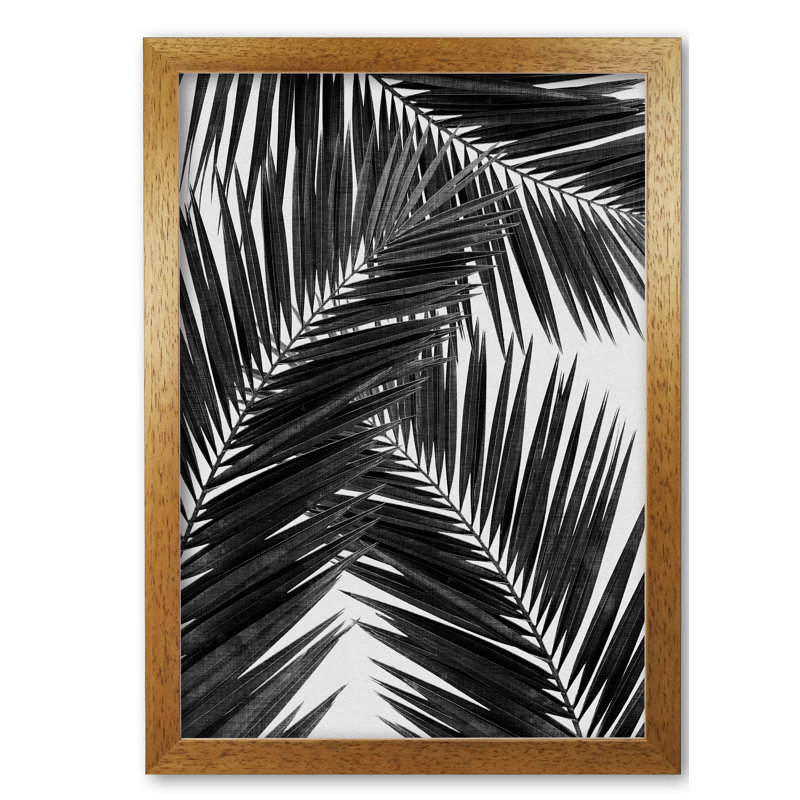PaIm Leaf III - Print, Honey Oak Frame, 42 cm H x 30 cm W x 5 cm D, Black