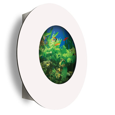 Angelica 3 Gallon Round Aquarium Tank