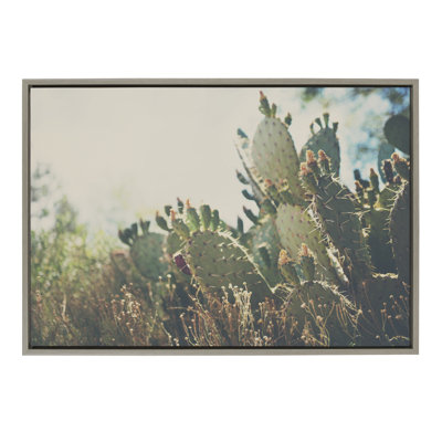 A Desert Prickly Pear Cactus by Laura Evans Framed Canvas Wall Art Print