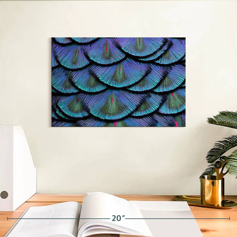 Peacock Tail Feathers, 8" H x 12" W