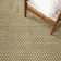 Dannapaola Flat Weave Cotton Geometric Rug