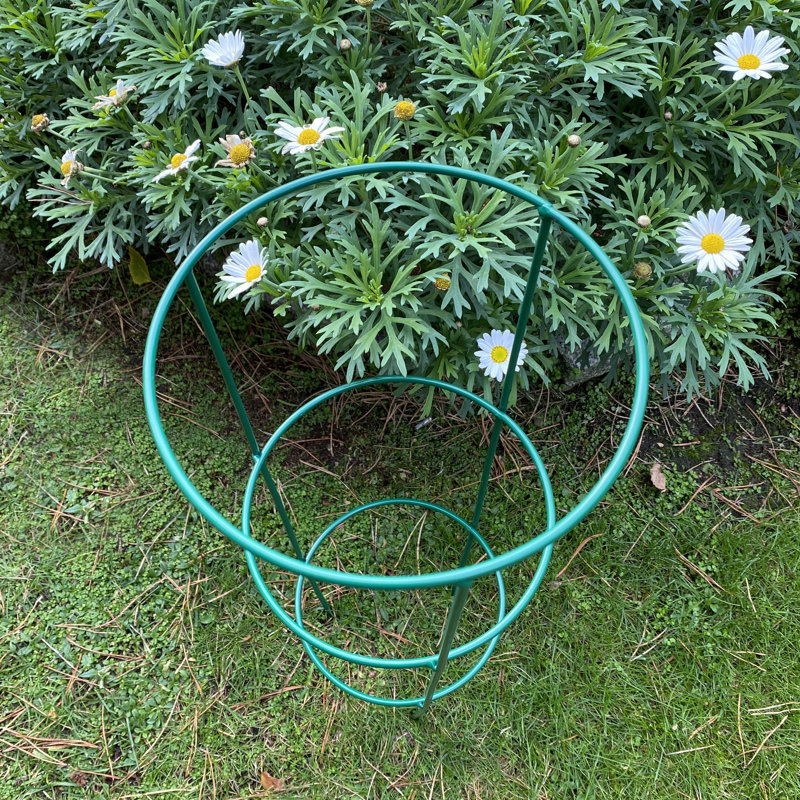 Aieden Metal Weather Resistant Plant Support, 48 x 20 x 18 cm