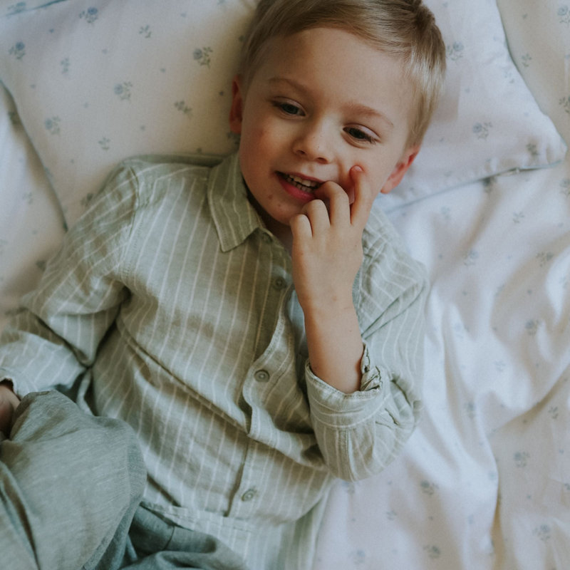 Ensemble de coussins pour tout-petits Ditsy, Blue