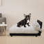 Lit orthopédique pour animaux Mid-Century-1932509633-1953814894