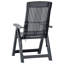 Carousel Garden Reclining Chairs Plastic-322097792