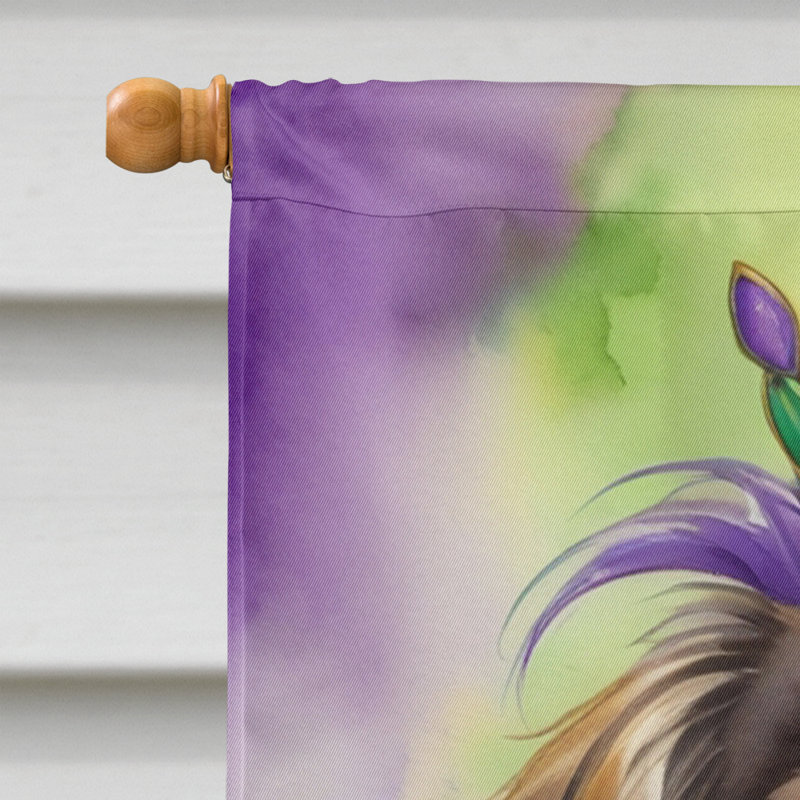 Drapeau de maison de Mardi Gras en polyester double face H 28 po x l 40 po