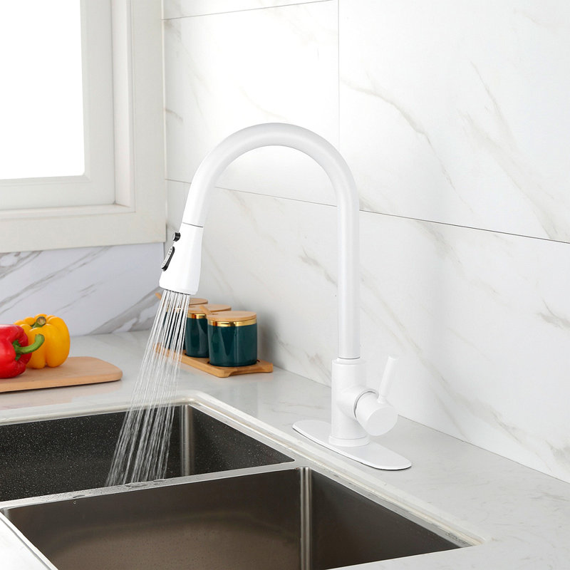 Kitchen Faucet With Pull Out Spraye