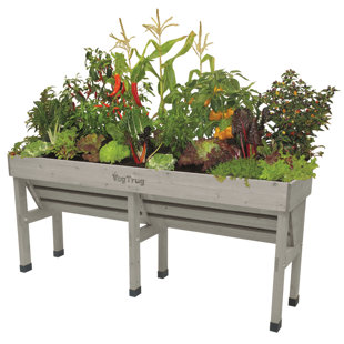 Wallhugger Raised Bed Planter