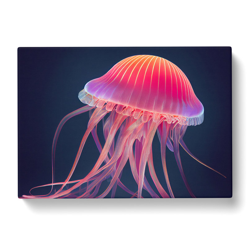 Jellyfish Art - Wrapped Canvas Print, 35cm H x 50cm W x 3cm D