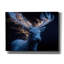  «Majestic Moon Deer. Art mural sur toile 3 pi par Ann Klee, 54 po x 40 po
