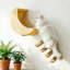 Ensemble de hamac pour chat