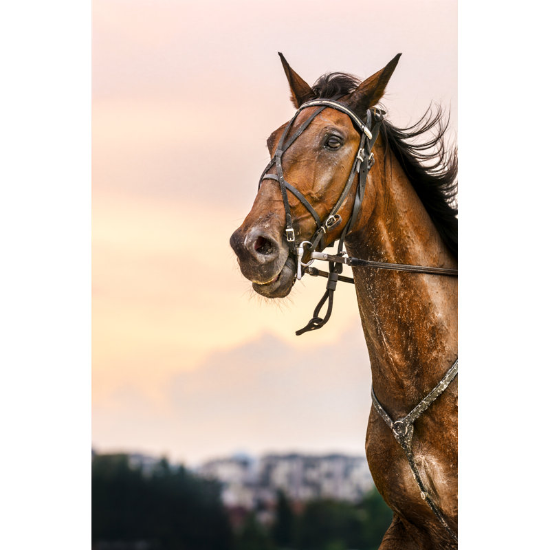 Racehorse At Twilight - Wrapped Canvas Print, 30cm H x 20cm W