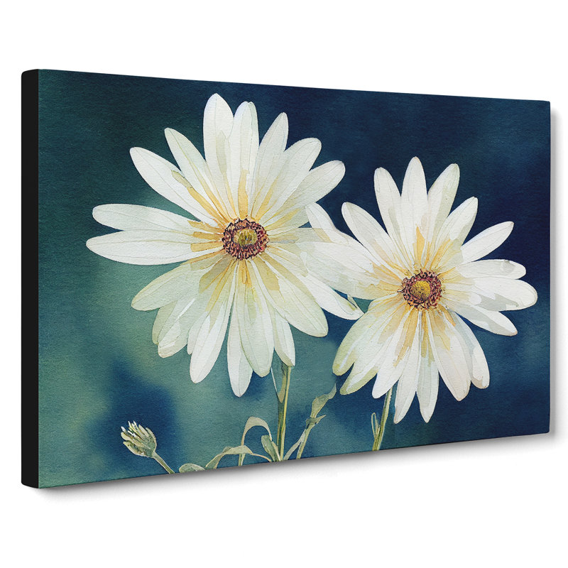 Astounding Daisy Flowers - Wrapped Canvas, 50cm H x 76cm W x 3cm D