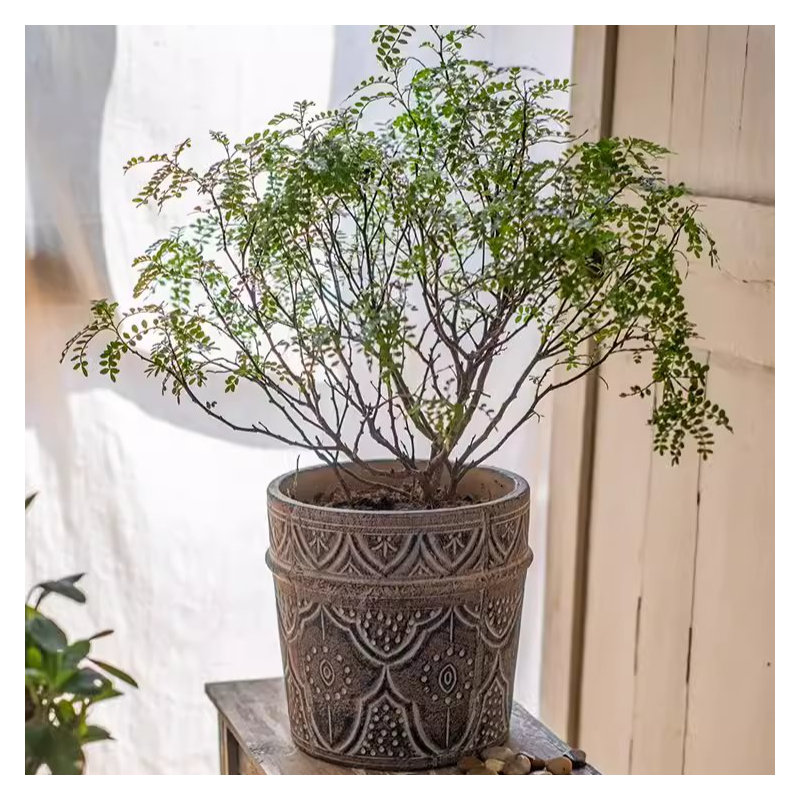 Jardinière Waltrude, H 8,8 po x l 4,5 po x P 4,5 po