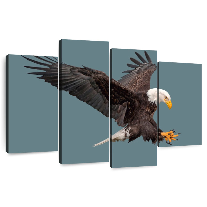 Brampt Predator Bald Eagle, 42"H x 68"W