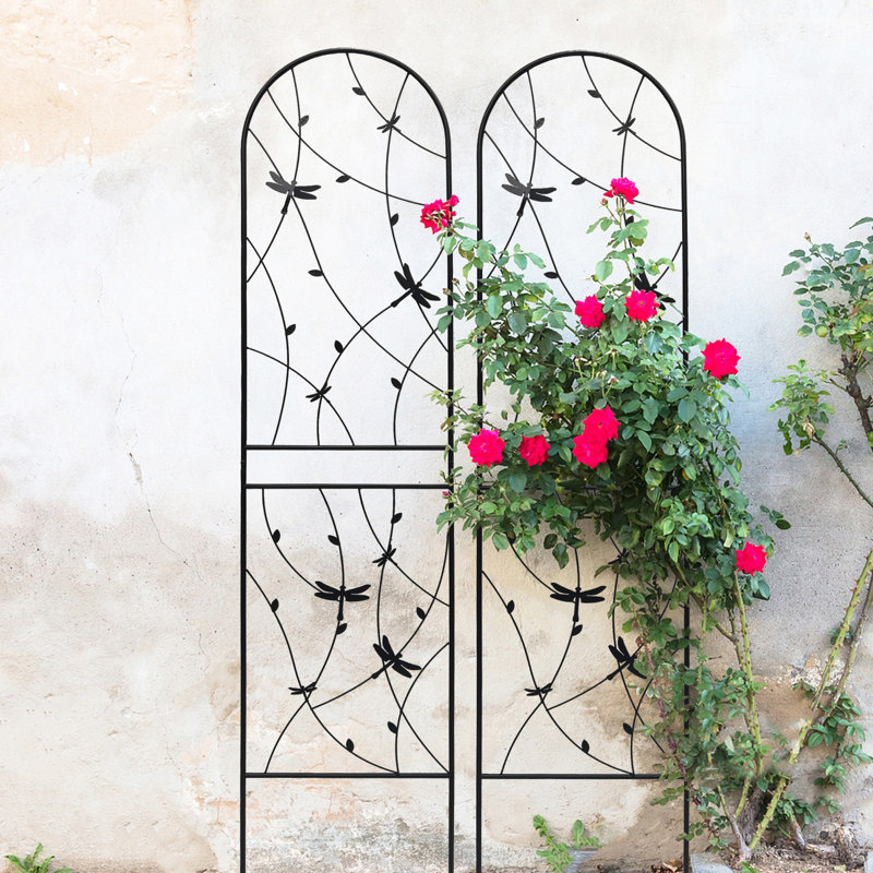 Paquet de 2 rampes d'extérieur en métal pour treillis de jardin 86,7 po x 19,7 po, H 84,44 po x l 30,64 po x P 19,42 po