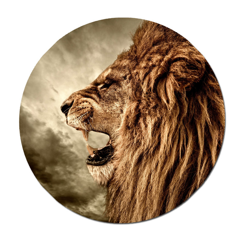 Profil de lion épique - photographie, H 24 po x l 24 po x P 1,5 po