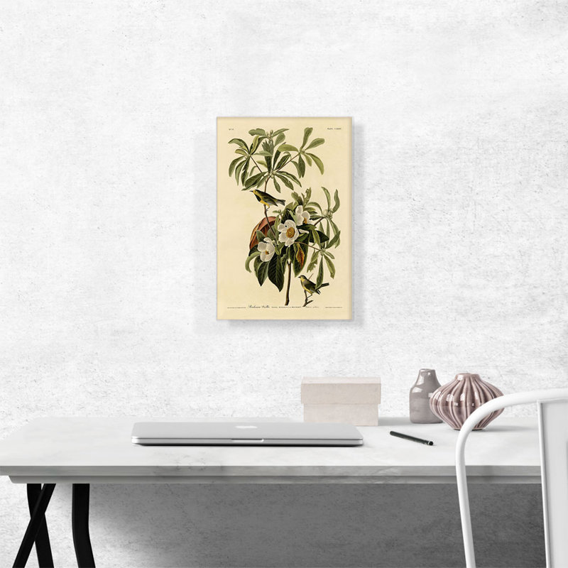 Reproduction d'art sur toile tendue, "Bachman Warbler" par James Audubon, H 18 po x l 12 po x P 0,75 po