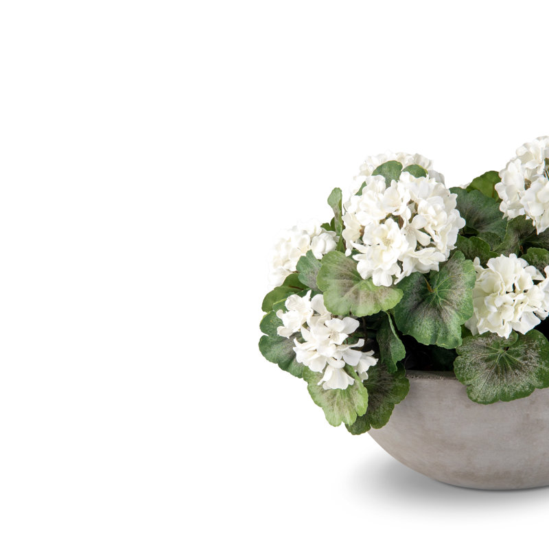 Arrangement d'hortensias Boule de Neige Félice