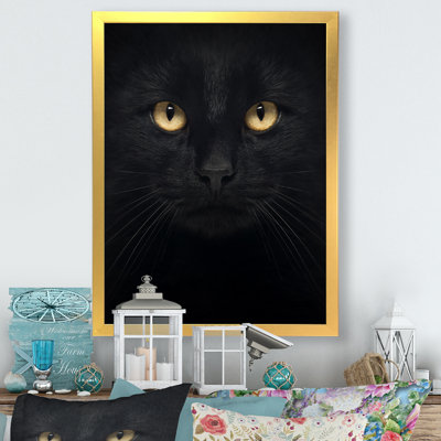 Portrait de chat noir et blanc - Peinture