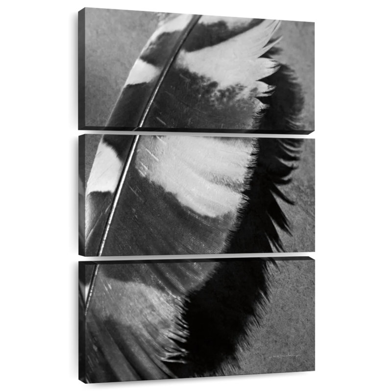 Plume Kerner Shadow II, H 32 po x l 20 po