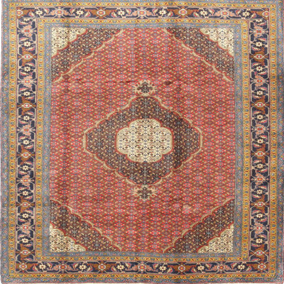 Oriental Indoor Rug