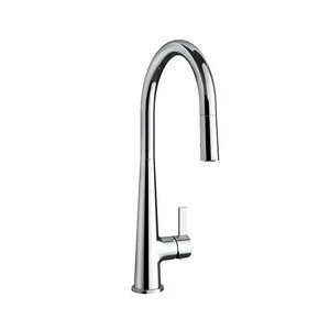 Proflo Kitchen Faucet, Chrome