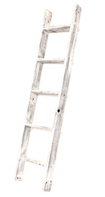 Dupuy 5 ft Blanket Ladder
